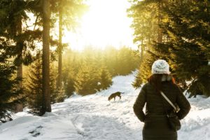 walking-hiking-snowshoeing